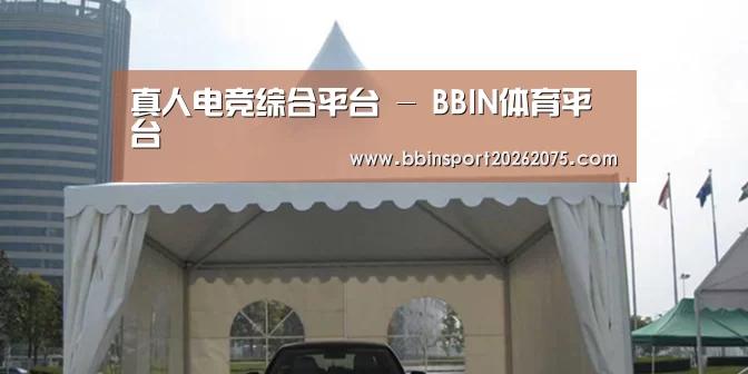 案例标题八