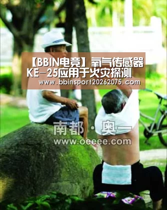 【BBIN电竞】氧气传感器KE-25应用于火灾探测器,用于火灾报警(图3) BBIN棋牌