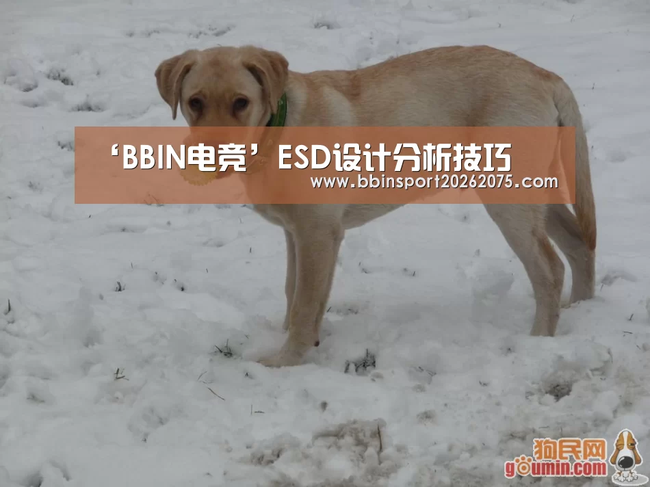 ‘BBIN电竞’ESD设计分析技巧