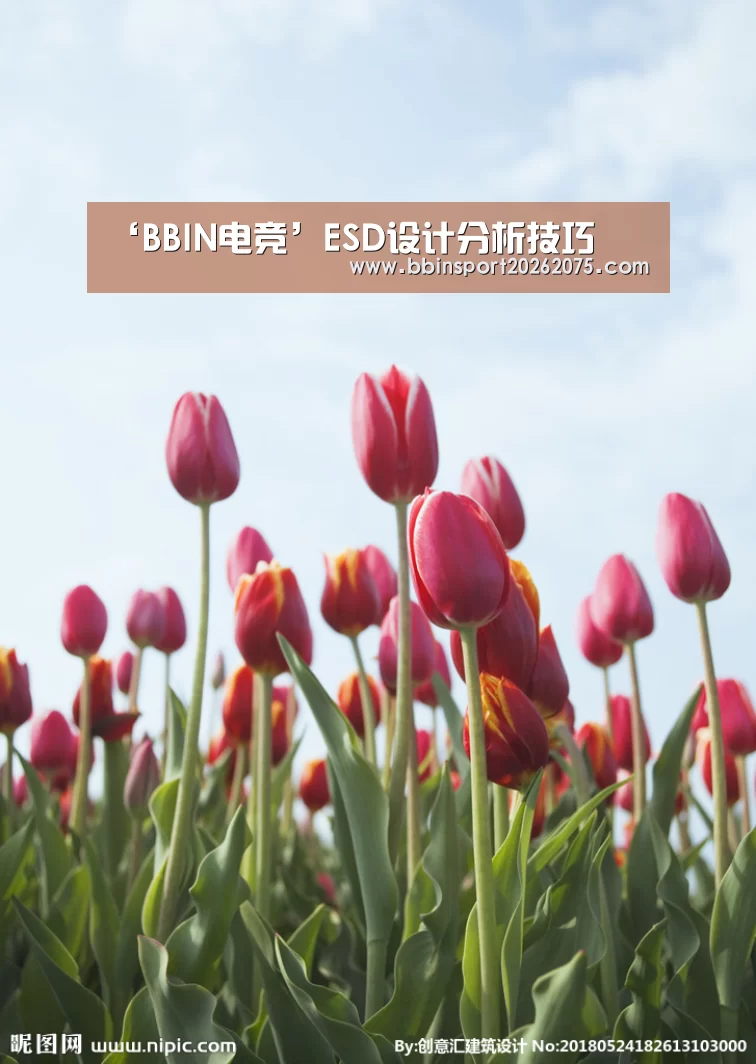 BBIN电竞