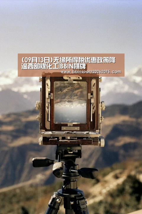 (09月13日)无缘所得税优惠政策降温西部煤化工|BBIN棋牌(图1) BBIN棋牌