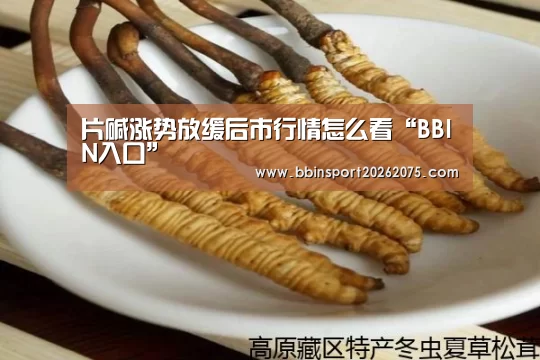 片碱涨势放缓后市行情怎么看“BBIN入口”(图3) BBIN电竞